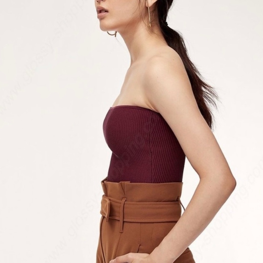 Aritzia Babaton Tube Top